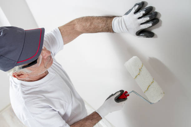 Best Attic Mold Removal  in Bridgeport, OH