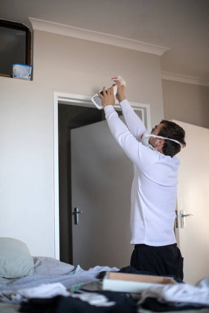 Trusted Bridgeport, OH Mold Removal Experts