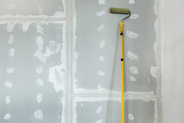 Best Asbestos and Lead Testing During Mold Inspection  in Bridgeport, OH
