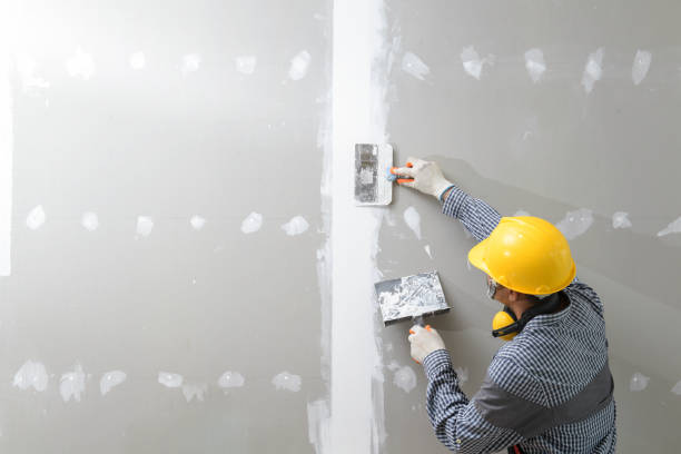 Best Emergency Mold Remediation  in Bridgeport, OH