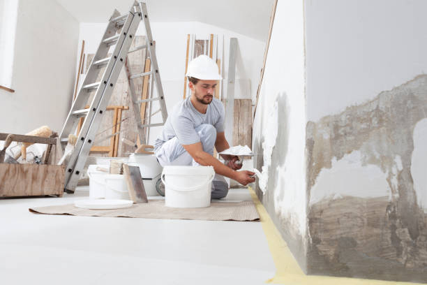 Best Mold Odor Removal Services  in Bridgeport, OH