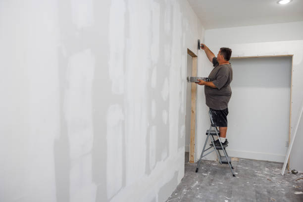Best Industrial Mold Remediation  in Bridgeport, OH