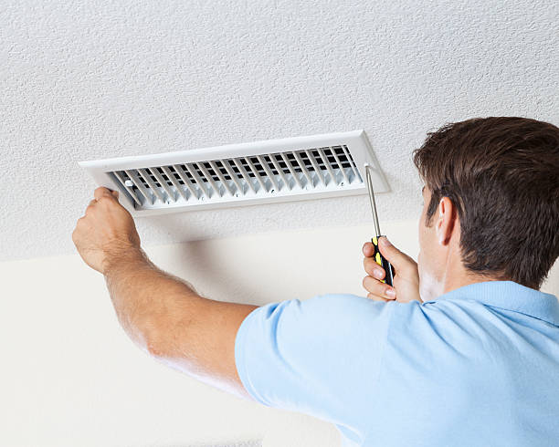 Mold Documentation for Insurance Claims in Bridgeport, OH
