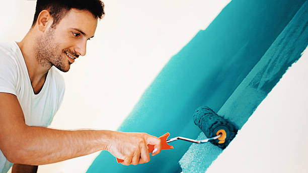 Best Basement Mold Removal  in Bridgeport, OH