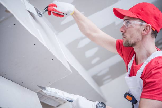 Best Water Damage & Mold Remediation  in Bridgeport, OH